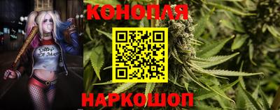 Альфа ПВП Заволжье