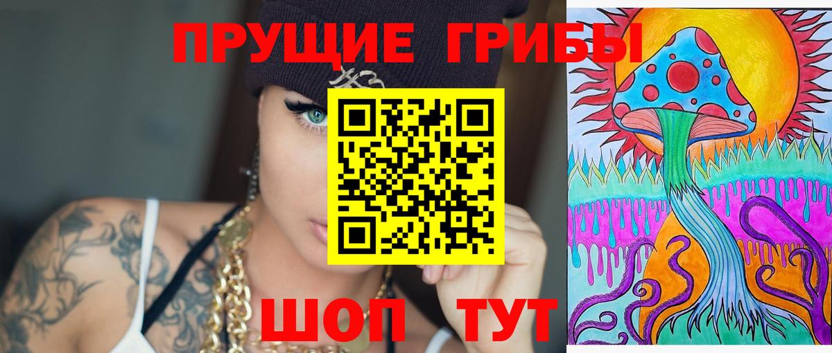 Галлюциногенные грибы GOLDEN TEACHER Дятьково