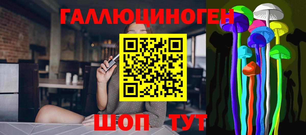 Дятьково  Псилоцибиновые грибы Psilocybine cubensis  Вход с VPN 